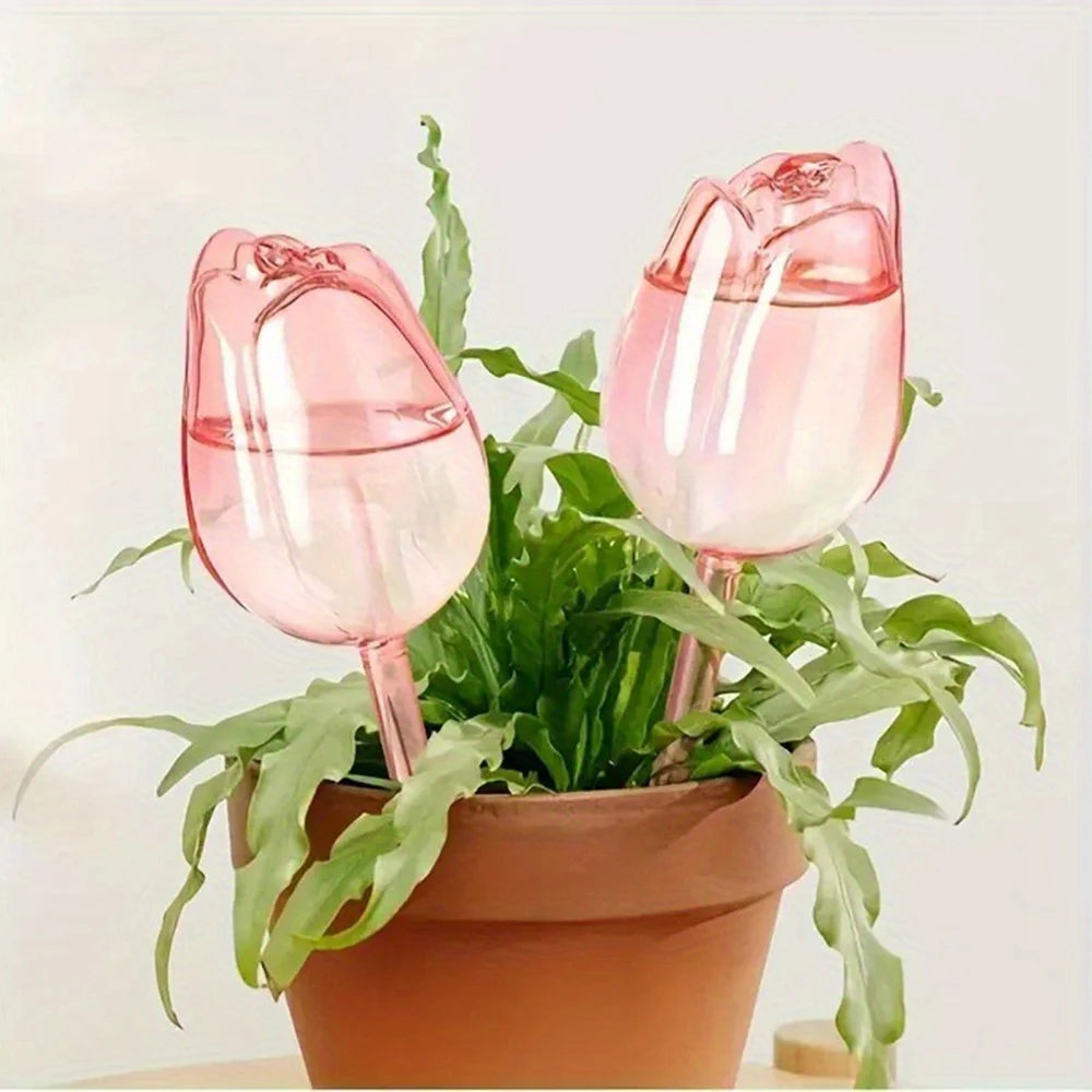 Decorative Self-Watering Plant Globes
