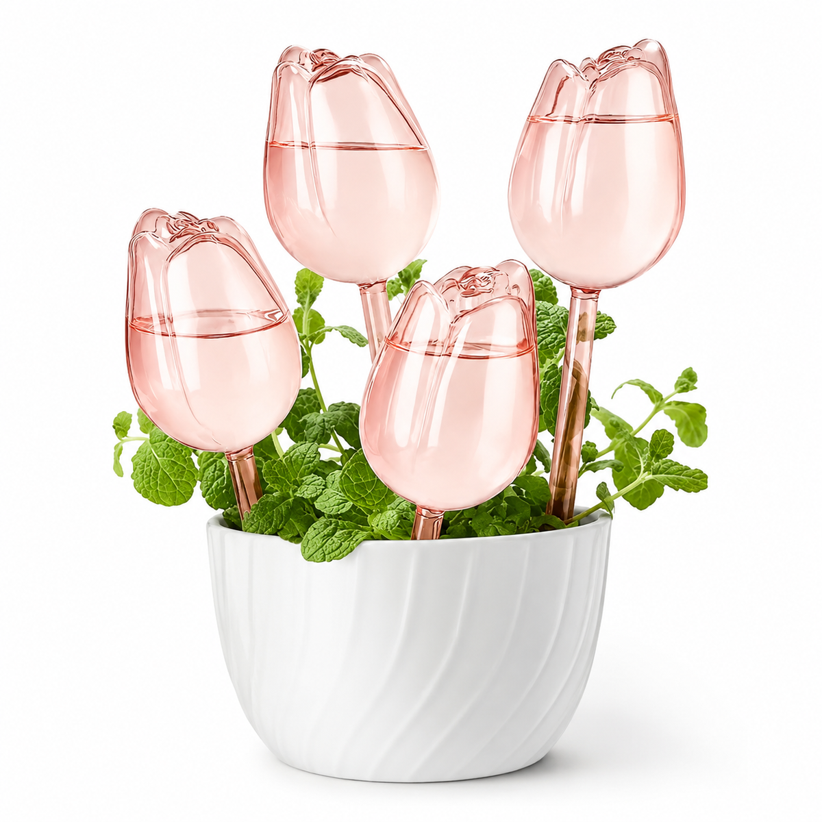 Decorative Self-Watering Plant Globes